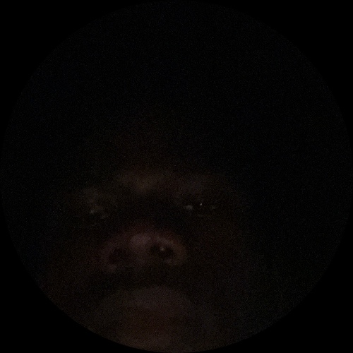 Kouadio Bah jean junior